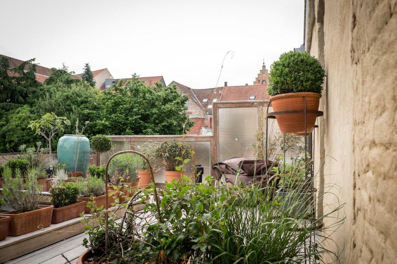 Csar Private Guesthouse Brugge Eksteriør billede